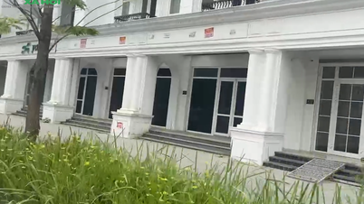 Hà Nội: Nhà phố thương mại tại phường Thanh Xuân chạm ngưỡng 500 triệu đồng/m2