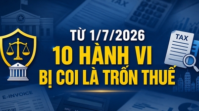 10 handlingar som betraktas som skatteundandragande från och med den 1 juli.