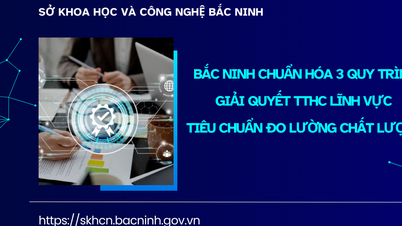 Bac Ninh standardiserer tre prosedyrer for håndtering av administrative prosedyrer innen standarder, måling og kvalitet.