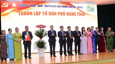 Lam Vien - Da Lat: Setahun meletakkan asas untuk fasa pembangunan baharu.