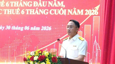 Le département des impôts de Hô Chi Minh-Ville s'attache à éliminer les obstacles à l'administration fiscale.