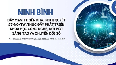 Ninh Binh trapper opp implementeringen av resolusjon 57-NQ/TW.