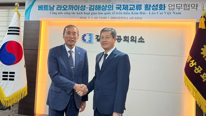 Đoàn công tác tỉnh Lào Cai thăm, làm việc với Phòng Thương mại và Công nghiệp Gimhae (Hàn Quốc)