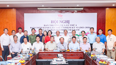 7ª riunione del Comitato esecutivo del Comitato Olimpico del Vietnam, 6° mandato (2021-2026): Continuare a innovare con forza i metodi operativi verso la professionalità, la modernità e l'efficienza.