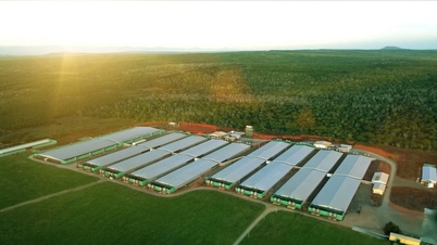 Greenfeed och dess resa mot att minska utsläpp och uppnå nettonollproduktion.