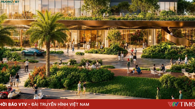 Palm City está entrando en una nueva fase de desarrollo con muchos indicios positivos en cuanto a su implementación.