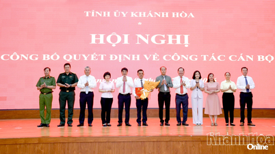 Mr. Nguyen Thanh Son has been transferred and appointed to the position of Deputy Secretary of the Party Committee of Nha Trang Ward.