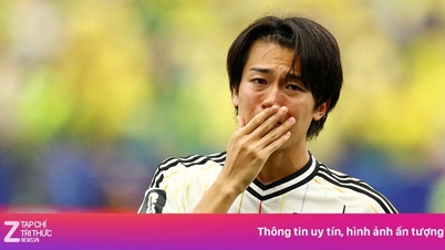 De bittere les die Japan leerde na hun nederlaag tegen Brazilië.