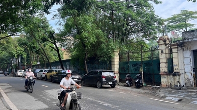 Thuế Hà Nội nói về doanh nghiệp trúng đấu giá "đất vàng" bỏ cọc 135 tỷ đồng
