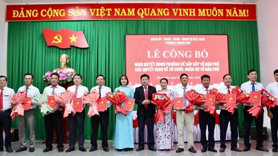Phong Phu a réorganisé ses 25 zones résidentielles en 10 nouvelles.