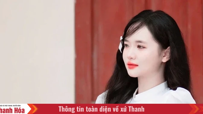 Jediný student z Thanh Hoa, který dosáhl perfektního skóre 10 v předmětu Ekonomická a právní výchova, je student odborné školy.