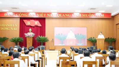 Dong Nai uses '3 questions' as a benchmark to evaluate the effectiveness of grassroots-level operations.