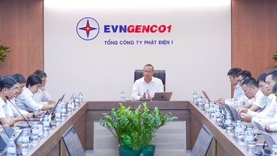 تحافظ شركة EVNGENCO1 على التشغيل الآمن وهي مصممة على إكمال خطتها لعام 2026.