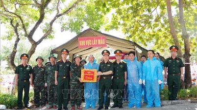 Kempen 500 Hari: Mengesahkan maklumat dengan segera dan mencari mayat askar yang gugur di Cau Nhi.