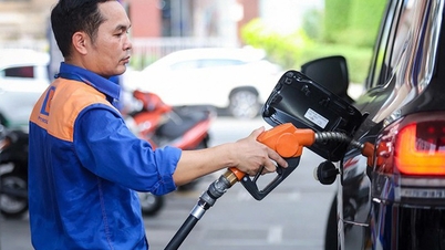 Prorogare il periodo di agevolazioni fiscali per benzina e diesel fino al 30 settembre 2026.