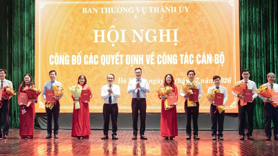 Da Nang: Partisekretæren for den centrale valgkreds bliver formand for Folkekomitéen i Hoang Sa-særzonen.