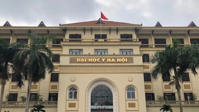 Hampir 280 pelajar telah diterima masuk terus ke Universiti Perubatan Hanoi.