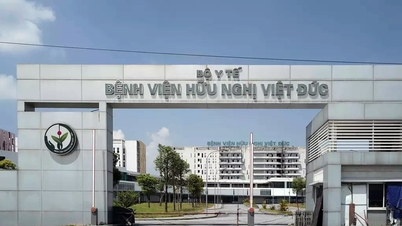 Die Zweigstelle Ninh Binh des Viet Duc Krankenhauses hat am 10. Juli den Patientenbetrieb aufgenommen.