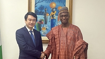 Thứ trưởng Ngoại giao Lê Anh Tuấn thăm làm việc tại Nigeria