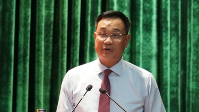 Setiausaha Parti Da Nang: Bidang yang sukar dan kompleks memerlukan lebih banyak keberanian untuk berfikir di luar kotak dan mengambil tindakan.