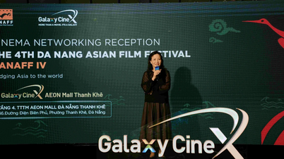 Connettere l'industria cinematografica e riunire i cineasti al DANAFF IV.