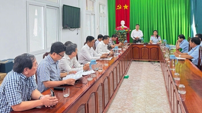 Annonce des conclusions de l'inspection concernant le Département de l'éducation et de la formation de la province d'An Giang.