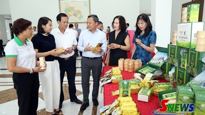 Menggunakan efektivitas pengembangan bisnis sebagai ukuran kualitas manajemen.