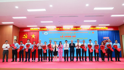 A Khanh Hoa Bird's Nest Company hivatalosan is elindítja átfogó ERP menedzsment rendszerét.