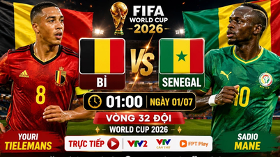 Phân tích dự đoán đội hình xuất phát trận Bỉ vs Senegal 3h ngày 2/7
