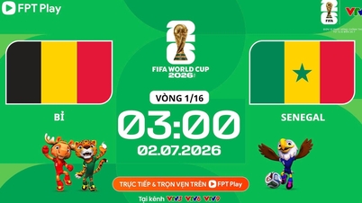 Palpite para Bélgica x Senegal: Jogando de forma ofensiva, o time azarão pode surpreender.