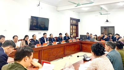Bac Ninh implementerer de endrede lovene om mottakelse av borgere, klager og angivelser.