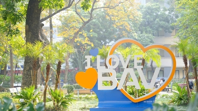 Universitățile vietnameze incluse în clasamentul THE Impact 2026
