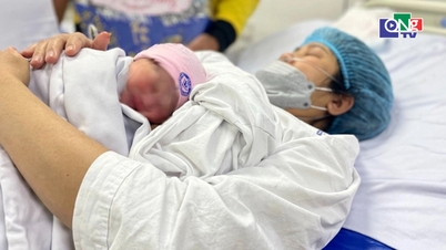 1 जुलाई से, दूसरी संतान को जन्म देने वाली महिला कर्मचारी 7 महीने की मातृत्व अवकाश की हकदार होंगी।