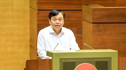 ত্রি-স্তরীয় সরকার মডেল চালুর এক বছর পর কৃষি ও পরিবেশ মন্ত্রণালয় সম্ভাব্য সর্বোচ্চ পরিমাণে ক্ষমতার বিকেন্দ্রীকরণ করেছে।