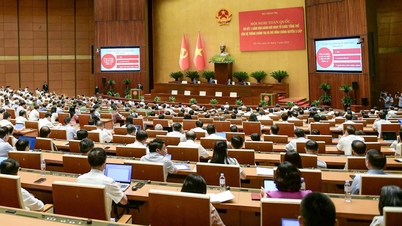 VTV1 phát sóng phim tài liệu Một năm sắp xếp lại giang sơn - Tinh gọn, gần dân, hiệu quả