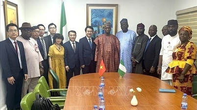 Vietnam memperkukuh hubungan kerjasama dengan negara-negara Afrika Barat.