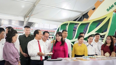 En la exposición de productos industriales rurales celebrada en Da Nang participaron 300 stands.