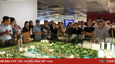 Vorsicht vor Webseiten und Anwendungen, die fälschlicherweise behaupten, Informationen über die Stadtplanung von Hanoi zu enthalten.