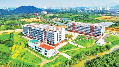 De minimale toelatingsscore voor de Nationale Universiteit van Hanoi in 2026 zal 19 punten bedragen.