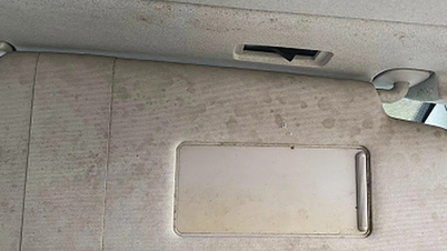 Tanda-tanda kulat di dalam kereta anda dan cara menghilangkan bau yang tidak menyenangkan sepenuhnya.