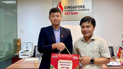 Quang Ngai promoot zijn potentieel en versterkt de zakelijke banden met Singapore.