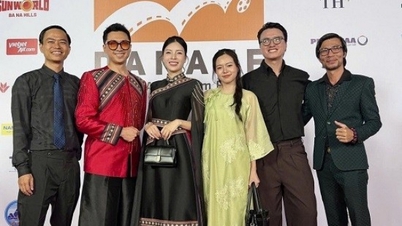 베트남 영화 프로젝트, DANAFF IV에서 국제 네트워킹 기회 모색