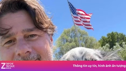 The role of the dogs on the US national team