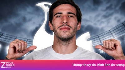 Il Tottenham mette a segno un acquisto clamoroso da diversi milioni di sterline.