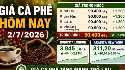 Ceny kawy gwałtownie wzrosły dziś, 2 lipca, a na rynku pojawiły się odmiany Robusta i Arabica.