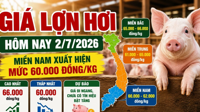 Preços da carne de porco hoje, 2 de julho: Os preços caíram para 60.000 VND/kg em muitas áreas.