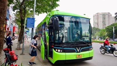 Was Sie beachten sollten, um auf der Ringstraße 1 kostenlos Bus zu fahren.