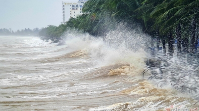 Bão số 1 sắp hình thành, tháng 7 có thể đón bão đổ bộ, mưa lớn diện rộng