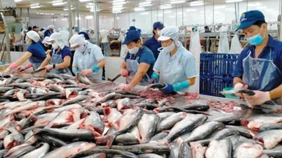 Экспорт морепродуктов продемонстрировал положительную динамику в первые шесть месяцев, достигнув почти 5,8 миллиарда долларов.