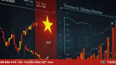 Майже 300 акцій незабаром будуть переведені з HNX до HOSE.